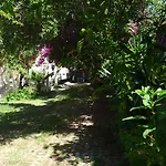 Hotel Lale Park 2*