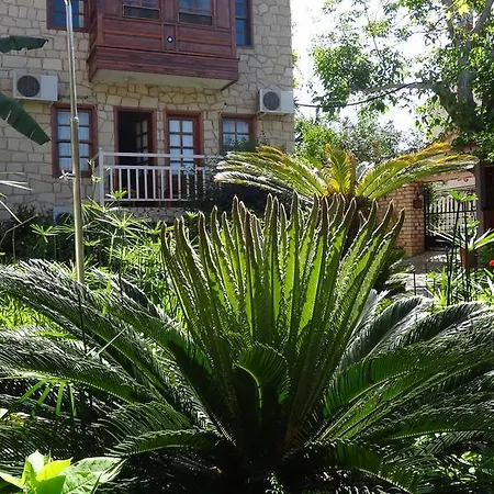 Lale Park سيدي