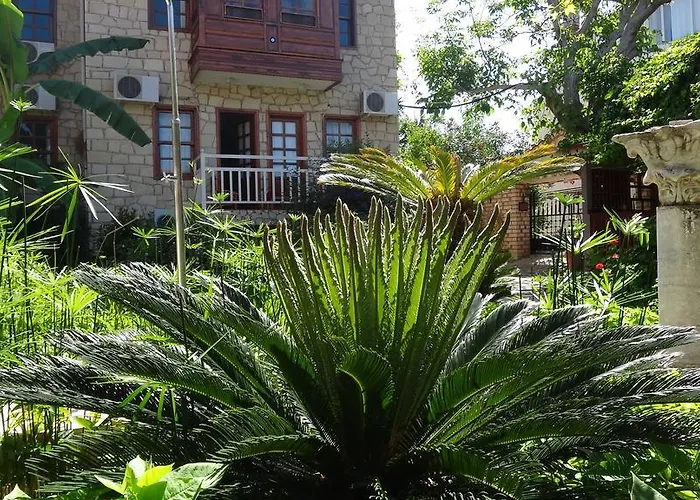 Lale Park Σιντέ